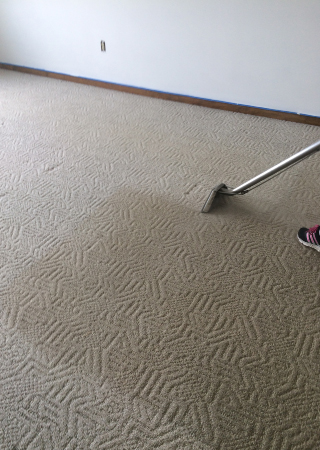 Pre-Grooming Process for Carpet Cleaning