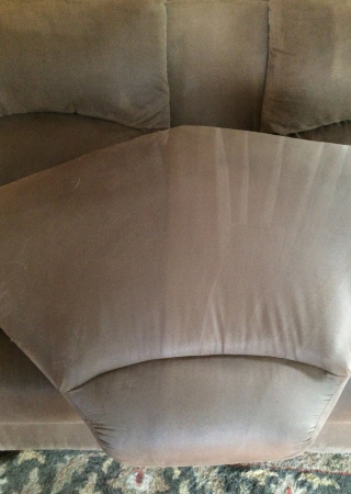 Professional Upholstery Cleaning Service